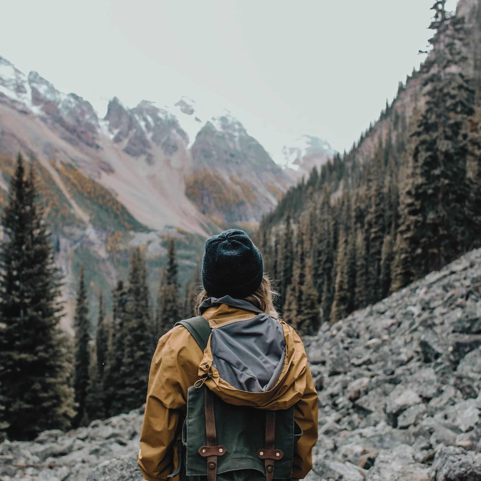 Small loan and mini loan